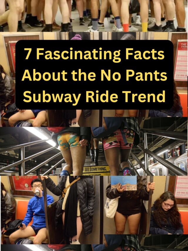 7 Fascinating Facts About the No Pants Subway Ride Trend